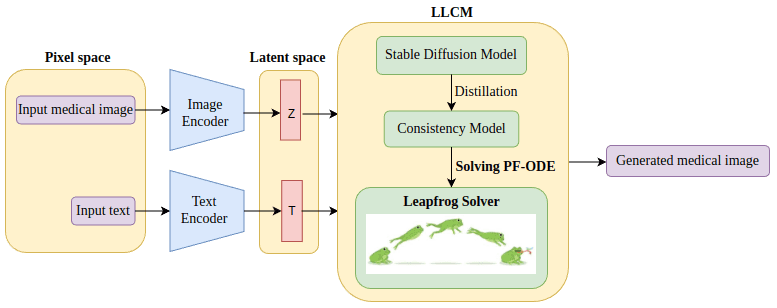 Research figure for Leapfrog Latent Consistency Model (LLCM) for Medical Images Generation