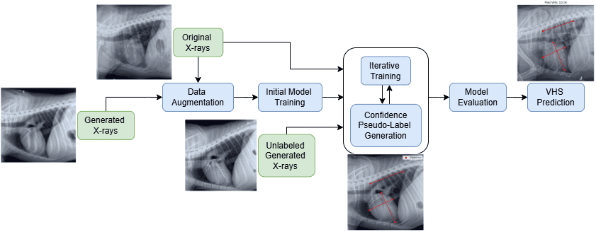 Research figure for Confident Pseudo-Labeled Diffusion Augmentation for Canine Cardiomegaly Detection