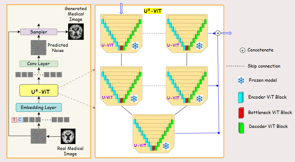 Research figure for MedNet and U²-ViT: A Nested Vision Transformer Diffusion Framework for Diverse Medical Images Generation
